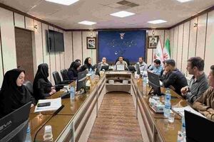 تأکید بر تسهیل ارائه خدمات درمانی به ایثارگران در نشست مشترک بیمه دی و بنیاد شهید استان زنجان
