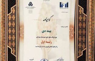 در بیست و هشتمین مراسم رتبه بندی ۱۰۰ شرکت برتر؛ بیمه دی رتبه اول مؤسسات بیمه ای کشور شد