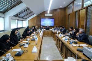 پرهیز از نگاه پروژه‌محور به پدیده فرونشست؛ مطالعات جامع برای ارائه راهکارهای عملیاتی/ ضرورت تهیه نقشه خطر فرونشست در شهر مشهد