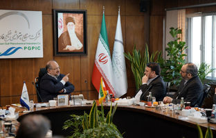 اجرای طرح‌های بزرگ صنعت پتروشیمی، مستلزم ایجاد کنسرسیوم بانکی است