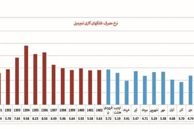 هدف‌گذاری گروه فولاد مبارکه برای تحقق تولید فولاد سبز/ نرخ برق صنایع طی ۵ سال ۲۸ برابر افزایش‌ یافت