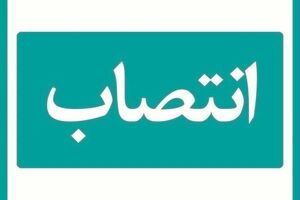 مدیر استان گیلان بیمه دی منصوب شد