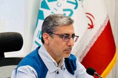 علی رسولیان مدیرعامل فولاد سنگان :  عزم جدی ایران و افغانستان برای همکاری مشترک بخش صنعت و معدن