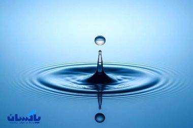 پاکسان به عنوان شرکت برتر گروه توسعه صنایع بهشهر معرفی شد