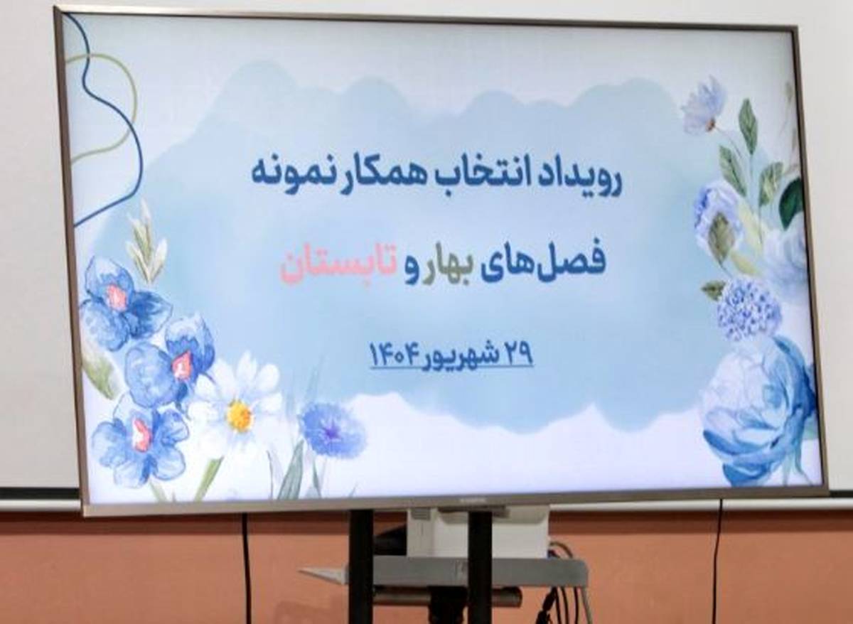 همکاران نمونه پلنت در فصل‌های بهار و تابستان ۱۴۰۴ پلنت معرفی شدند