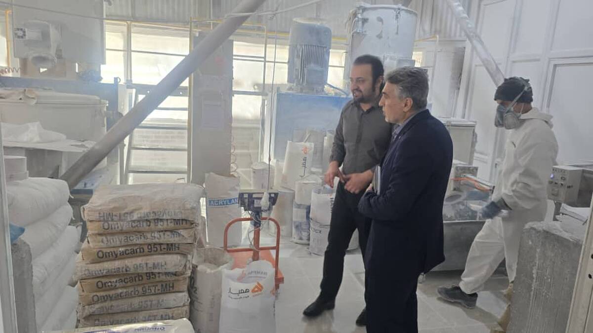 برنامه های حمایتی بانک توسعه صادرات ایران برای صنایع صادراتی استان اردبیل