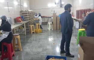 صندوق کارآفرینی امید برای ۳۲۰ نفر در خراسان رضوی شغل ایجاد کرد