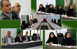 نشست مشترک پژوهشکده بیمه و مرکز ملی تحقیقات بیمه سلامت با محوریت گسترش همکاری‌های راهبردی در حوزه پیشگیری، ارتقای سلامت جامعه و کاهش بار هزینه‌های درمان بر اقتصاد ملی