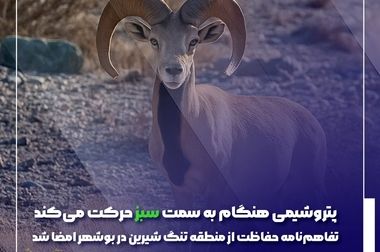 آغاز عملیات نصب و راه‌اندازی رآکتور اوره شرکت پتروشیمی هنگام با حضور شریعتمداری