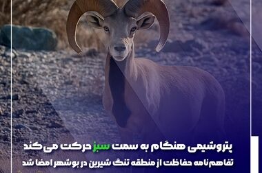 نصب موفقیت آمیز رآکتور واحد اوره در پتروشیمی هنگام