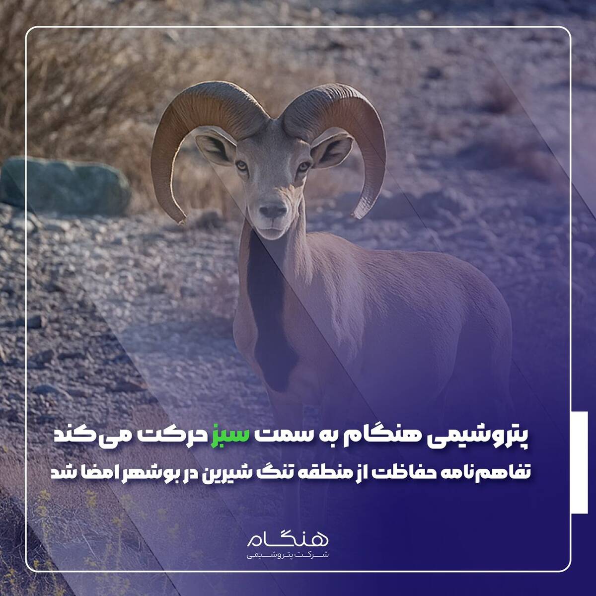  تفاهم‌نامه حفاظت از منطقه تنگ شیرین در بوشهر امضا شد