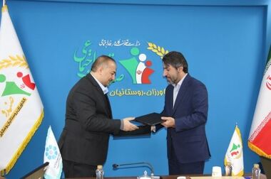 سرپرست مدیریت امور استان‌ها و شعب بانک توسعه تعاون منصوب شد