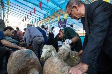 امکان خرید شهروندان تهرانی به راحتی و  با کمترین قیمت از بازارها و میادین میوه و تره بار