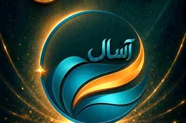 بازدید میدانی مدیرعامل بیمه ایران از مواکب و شعب خدمت‌رسان به سوگواران رهبر شهید