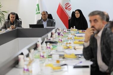 تأکید رئیس پژوهشکده بیمه بر نقش صنعت بیمه در تقویت تاب ‌آوری اقتصاد ملی