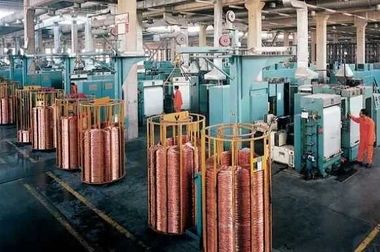  کسب افتخاری ملی و جهانی برای «تجلی»