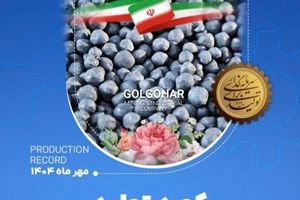 رکوردهای تولیدی روزانه مهرماه ۱۴۰۴ در شرکت معدنی و صنعتی گل گهر