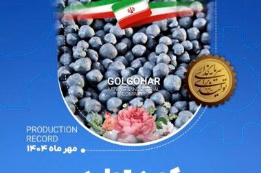  تولید و فروش چشمگیر گل گهر در شش ماهه اول سال