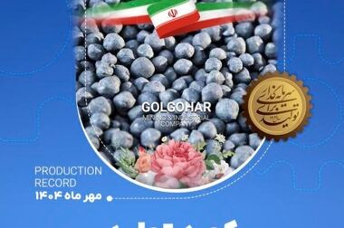 استاندارد، ضامن کیفیت و بنیاد اعتماد است