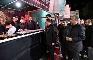 قدردانی معاون توسعه مدیریت و منابع وزارت اقتصاد از موکب بیمه ایران در مراسم تدفین امام شهید در مشهد