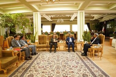 مدیرعامل: تفویض اختیار به شعب، رویکرد مهم ما برای چابک سازی این بانک است