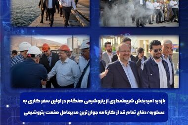 پیام تبریک محسن بیگلربیگی سرپرست پتروشیمی هنگام به مناسبت روز صنعت پتروشیمی