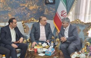گسترش تعاملات صبانور در راستای استراتژی توسعه