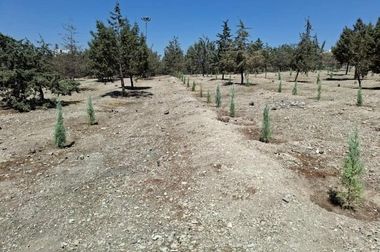 فضاسازی محیطی و برپایی نمایشگاه عکس به مناسبت هفته دفاع مقدس در منطقه ۴