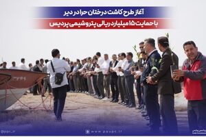 آغاز طرح کاشت درختان حرا در دیر با حمایت ۱۵ میلیارد ریالی پتروشیمی پردیس