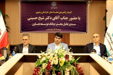 شیخ حسینی: راهبرد بانک توسعه تعاون در نیمه دوم سال افزایش سهم بازار است