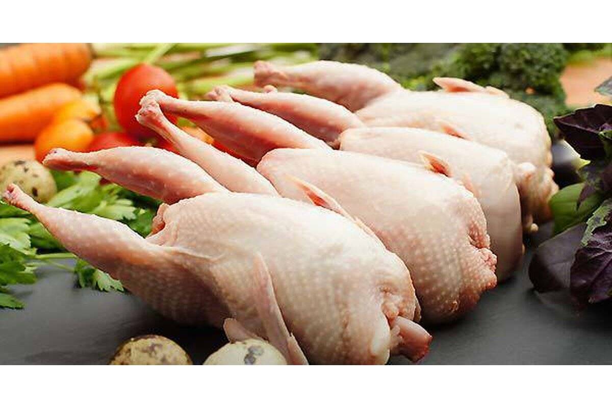 قیمت گوشت و تخم بلدرچین (۲۹ شهریور ۱۴۰۵) اعلام شد