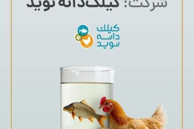 بررسی چالش‌ها و فرصت‌های تامین مالی در صنعت نفت