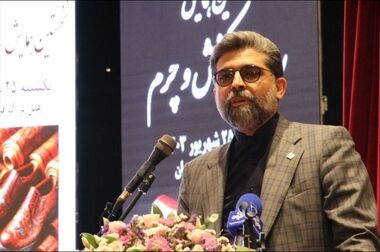 هم افزایی فعالان بخش خصوصی برای پیشبرد اهداف برنامه توسعه نظام مبادلات پیمانکاری فرعی