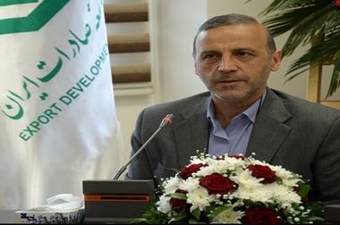 تأکید بانک توسعه صادرات ایران بر تأمین مالی جمعی