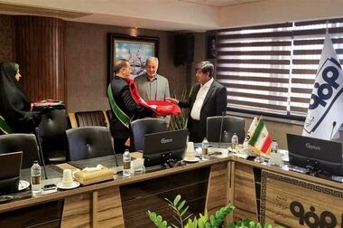 تفکیک سبا؛ افت مقطعی، رشد بلند مدت