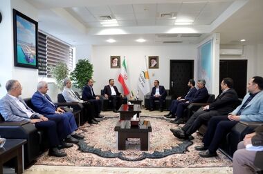 تأکید بر تشکیل انجمن واردکنندگان خودرو پلاک منطقه آزاد انزلی