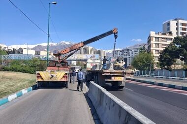 عملیات تخصصی شهرداری منطقه یک برای صیانت از چنارهای میدان تجریش