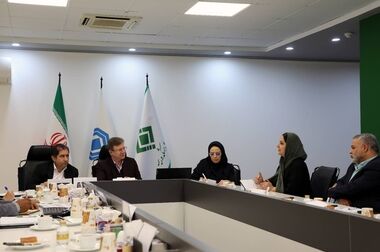 بیمه اتکایی دارایی محور، مدیریت دارایی و بهینه سازی سرمایه