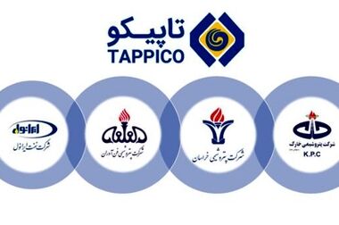 مدیرعامل شستا: صادرات انتخاب نیست، شرط بقا، مسیر یادگیری و حضور در متن شبکه‌های کسب‌وکار است