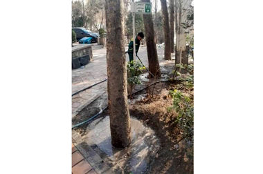 ثبت رکورد ۱۳۰۰ مترمکعب بتن‌ریزی در پروژه‌های منطقه یک در هفت روز