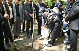 بوستان قیطریه میزبان نهال های تازه در روز تولد امام شهید بود