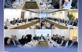 تأکید بر برنامه‌محوری و تقویت انسجام سازمانی