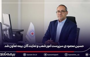 حسین محمودی سرپرست مدیریت امور شعب و نمایندگان بیمه تعاون شد