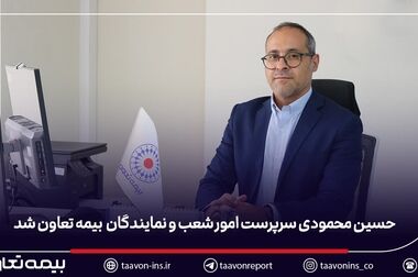  بیمه تعاون چگونه از کسب‌وکارهای کوچک حمایت می‌کند؟