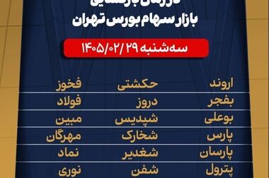 حمایت از سهامداران با بیمه سهام هموطن