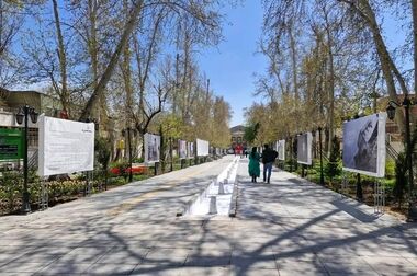 عملیات تخصصی شهرداری منطقه یک برای صیانت از چنارهای میدان تجریش