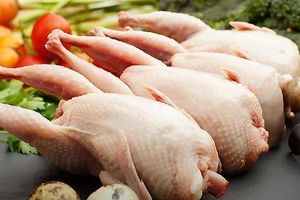 قیمت گوشت  و تخم بلدرچین  اعلام شد