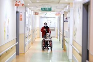 استانهای تهران و البرز پایلوت نظام ارجاع سازمان تأمین اجتماعی شدند