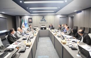 تاکید ایدرو بر ورود سریع طرح تایر هامون به فاز اجرایی