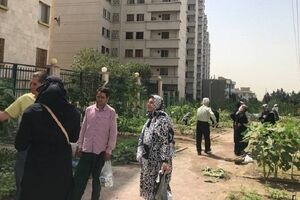راه‌اندازی مزارع خانوادگی در بوستان گلگشت منطقه ۲